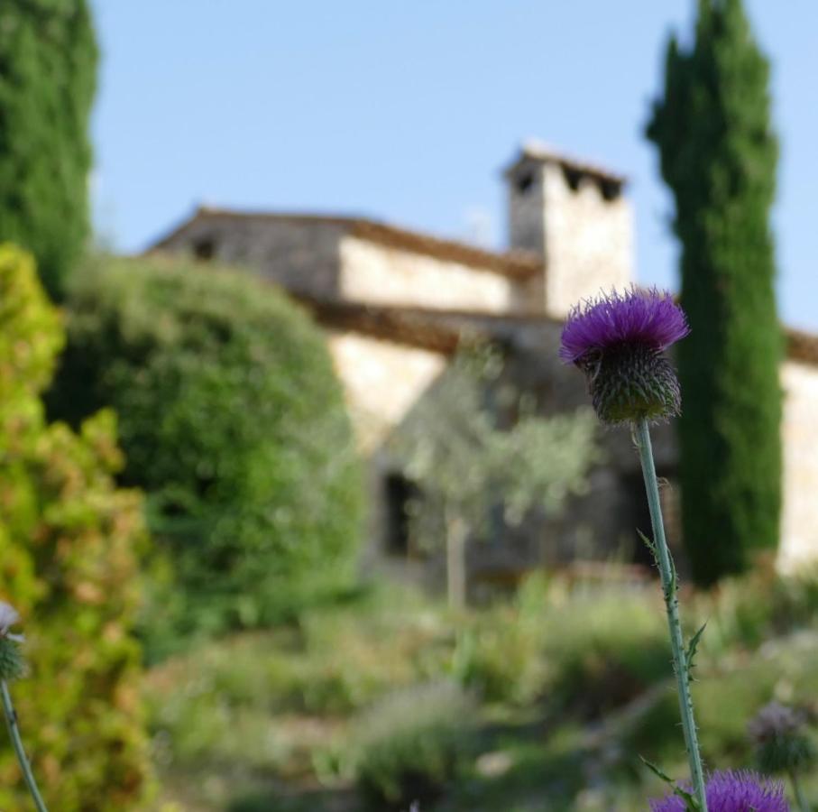 Domaine De La Xavoliere 호텔 Saint-Cézaire-sur-Siagne 외부 사진
